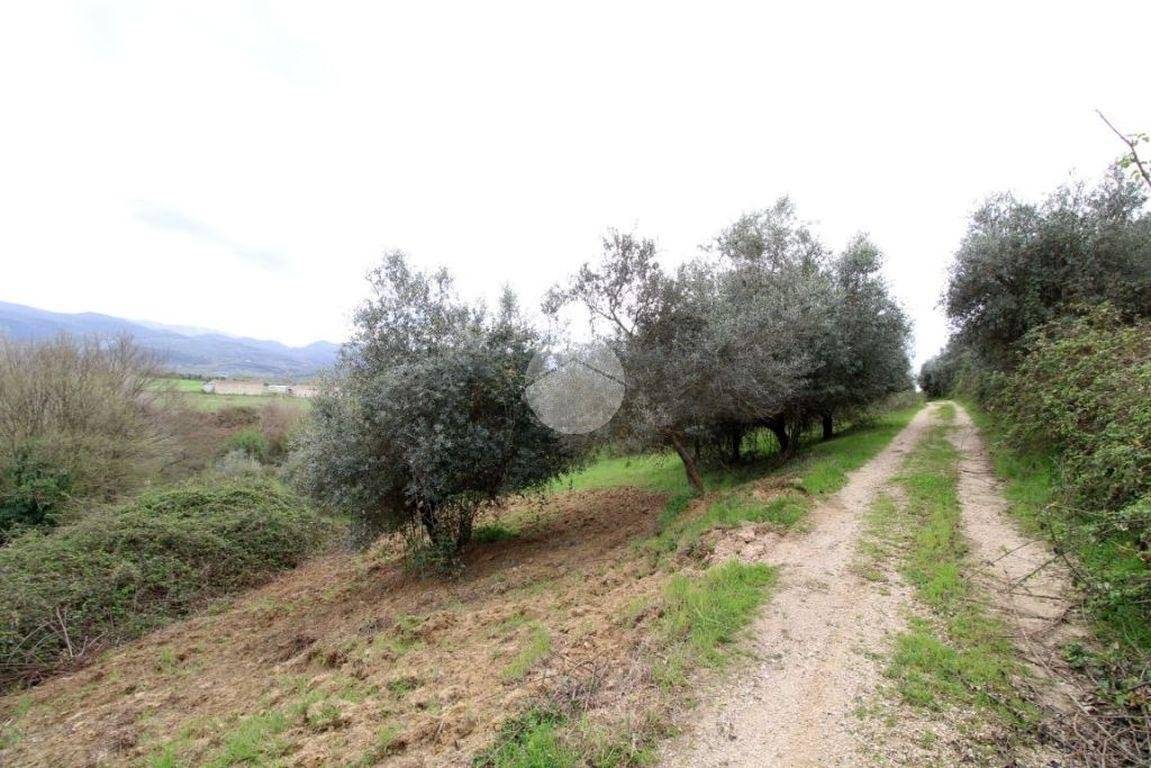 62380m² Land in Montelibretti, Italy No. 386998