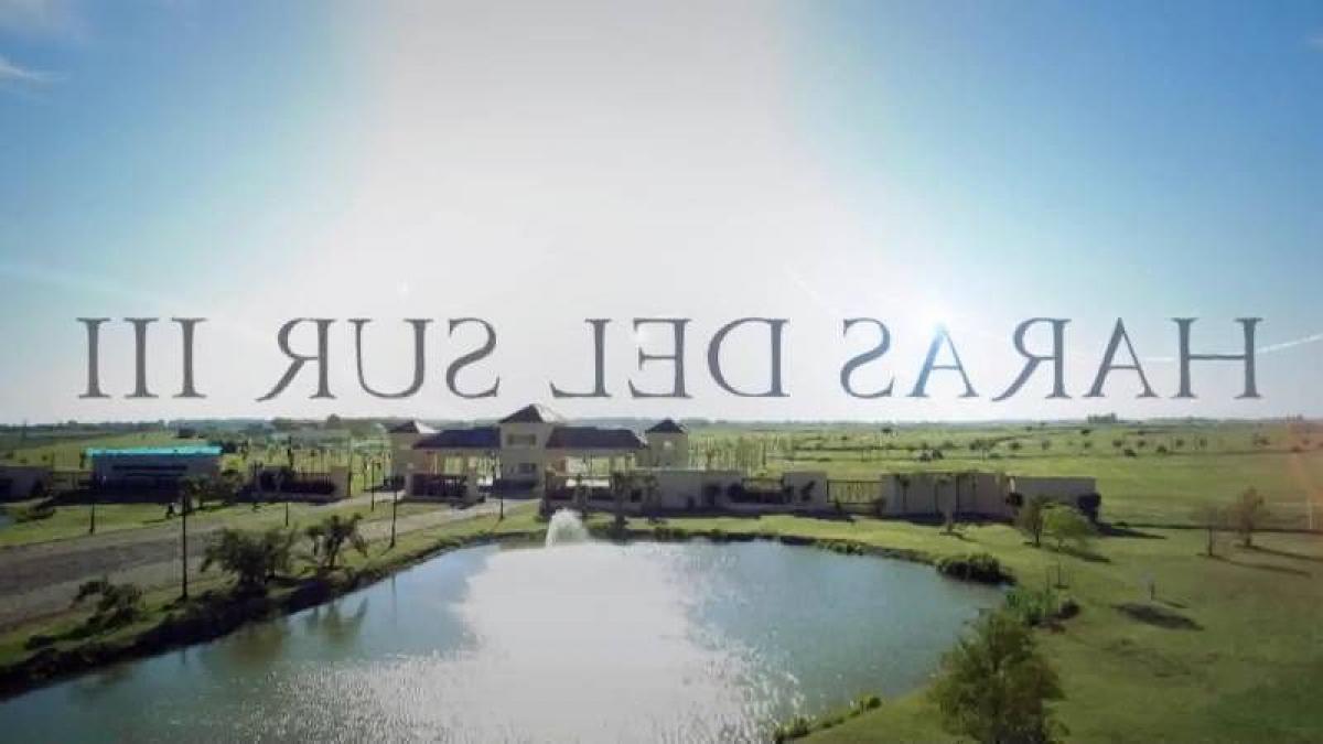  Land in Brandsen, Argentina No. 45593