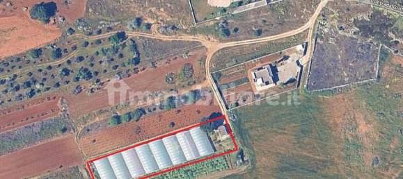 مستودع في Melissano, Italy 23متر مربع رقم 329975 16