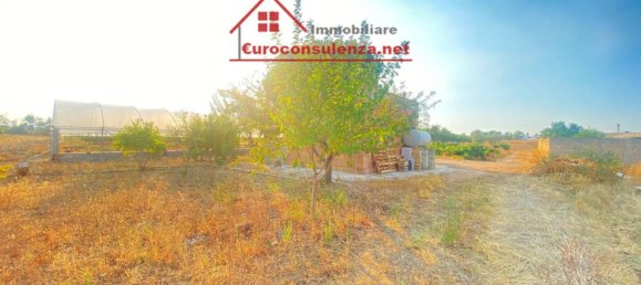 مستودع في Melissano, Italy 23متر مربع رقم 329975 4