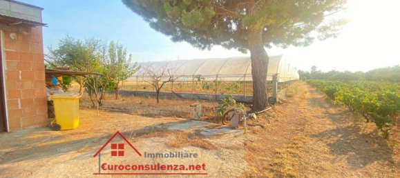 مستودع في Melissano, Italy 23متر مربع رقم 329975 7