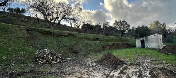 Casa T2 em Campiglia Marittima, Italy N.º 1417 6