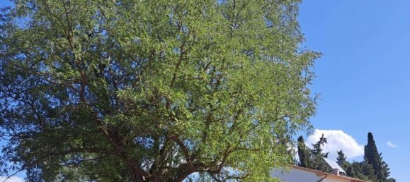 Casa T2 em Campiglia Marittima, Italy N.º 1417 10