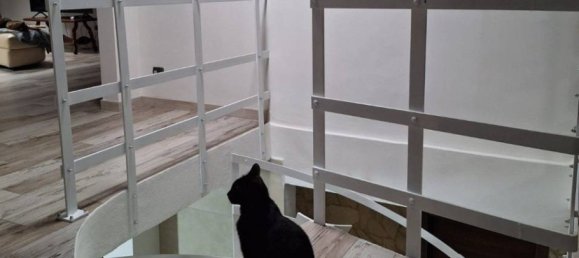 3 غرف نوم فيلا في Casalfiumanese, Italy رقم 44578 22