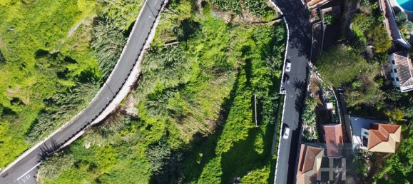 3250m² Land in Ribeira Brava, Portugal No. 143469 9