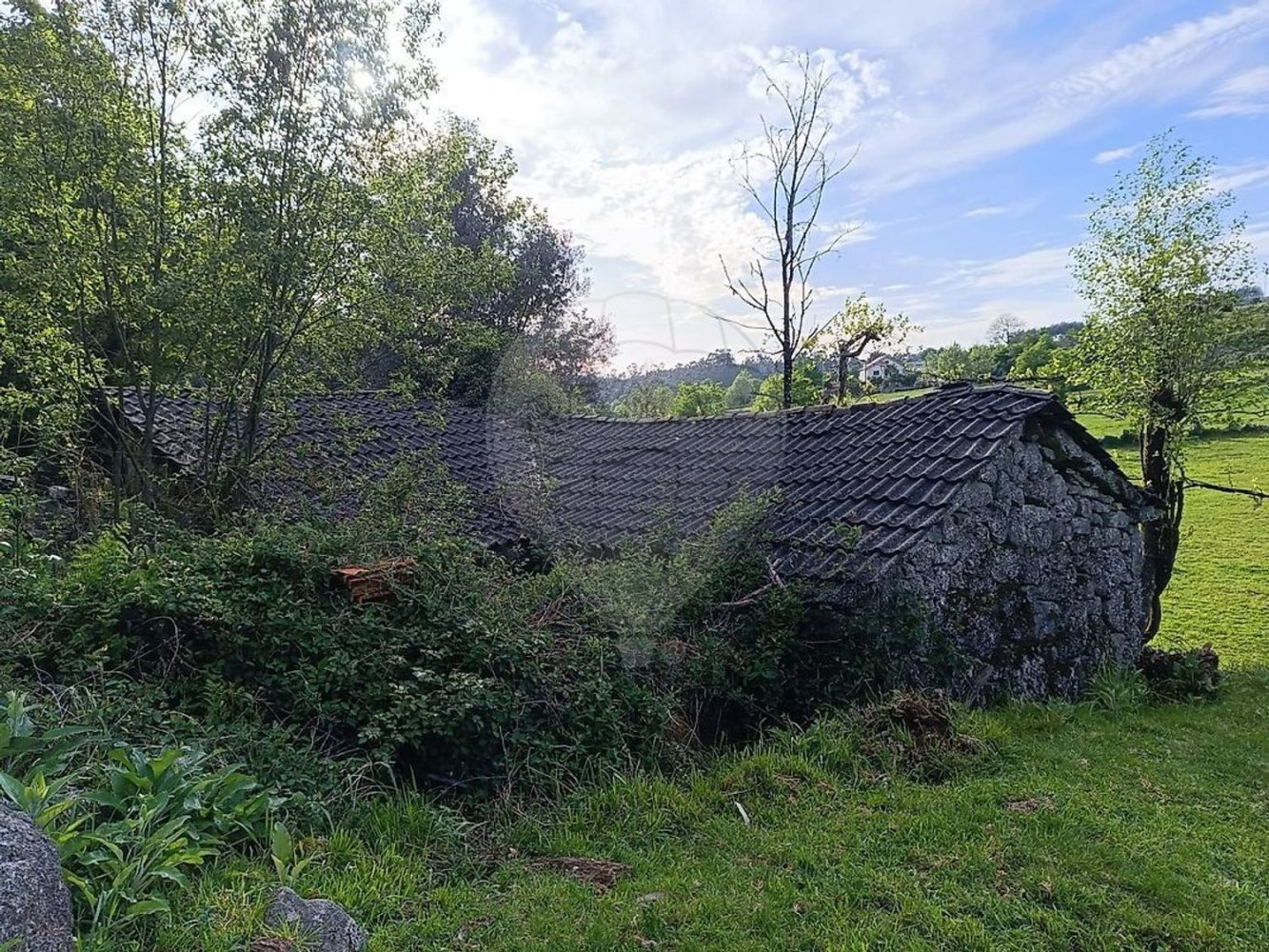 1 غرف نوم منزل في Vieira do Minho, Portugal رقم 37723