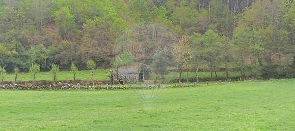 1 غرف نوم منزل في Vieira do Minho, Portugal رقم 37723 4