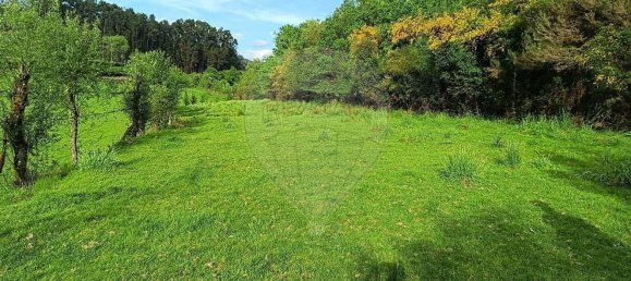 1 غرف نوم منزل في Vieira do Minho, Portugal رقم 37723 18