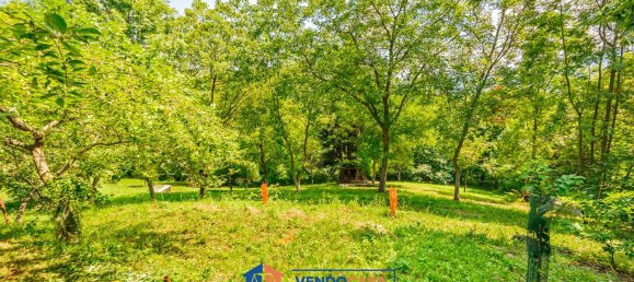 2-Zimmer Haus in Sinio, Italy, Nr. 303418 26