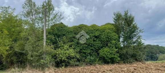 Terrain à Piedimonte San Germano, Italy No. 338076 7