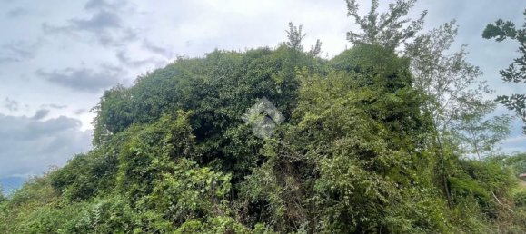 Terrain à Piedimonte San Germano, Italy No. 338076 5