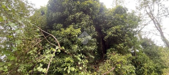 Terrain à Piedimonte San Germano, Italy No. 338076 9