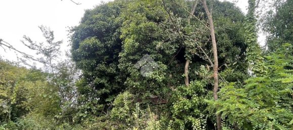 Terrain à Piedimonte San Germano, Italy No. 338076 4