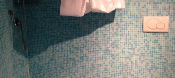 Studio in Camaiore, Italy No. 293097 6