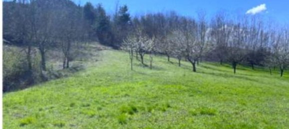 Imóvel comercial em Montechiaro d'Acqui, Italy 816 m² N.º 381147 13