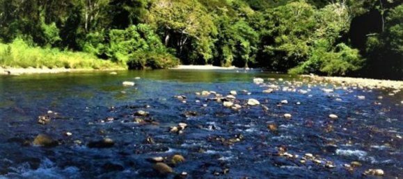 Terrain à Alajuela, Costa Rica No. 1669 2