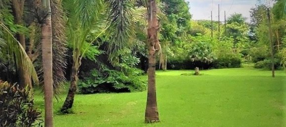 Terrain à Alajuela, Costa Rica No. 1669 5