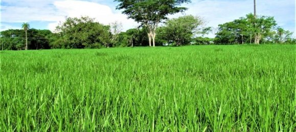 Terrain à Alajuela, Costa Rica No. 1669 6
