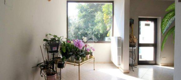 3 bedrooms Villa in Pinasca, Italy No. 297492 23