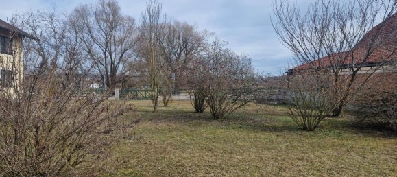 Дом с 12 комнатами в Гросвайкерсдорф, Австрия № 168274 17