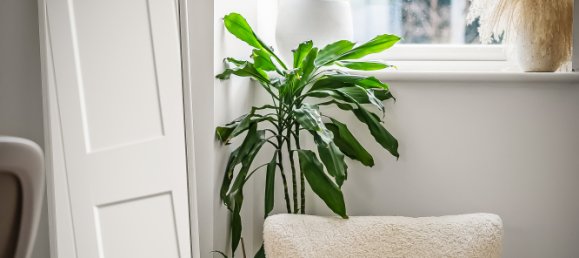 Apartamento T2 em Woking, United Kingdom N.º 1020 13