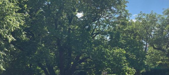 Apartamento de 2 habitaciónes en Favoriten, Austria No. 133245 10