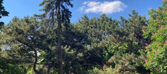 Apartamento de 2 habitaciónes en Favoriten, Austria No. 133245 8