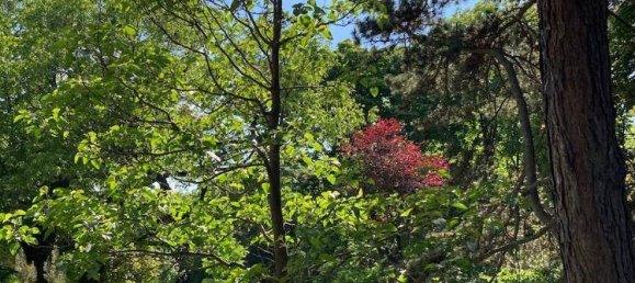 Apartamento de 2 habitaciónes en Favoriten, Austria No. 133245 9