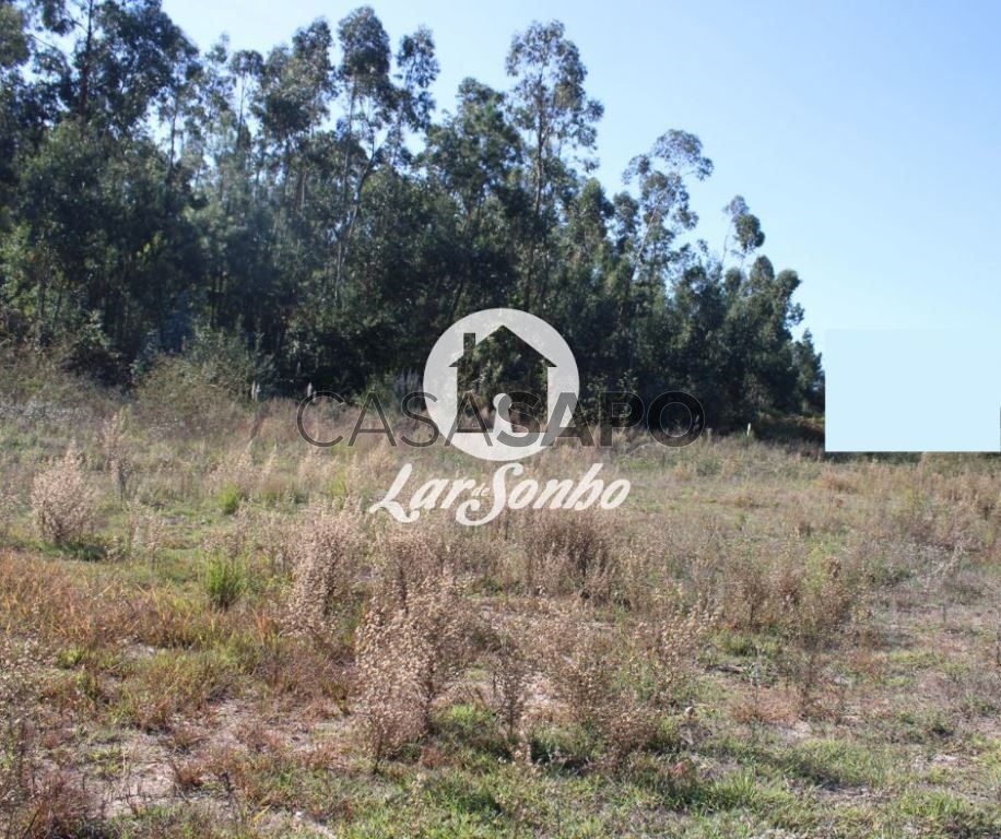 Земельный участок в Барселуш, Португалия № 325971