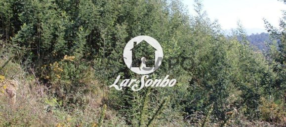  قطعة أرض في Barcelos, Portugal رقم 325971 10