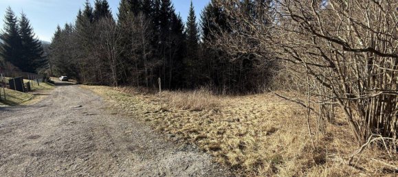 868m² Land in Spital am Semmering, Austria No. 112869 4