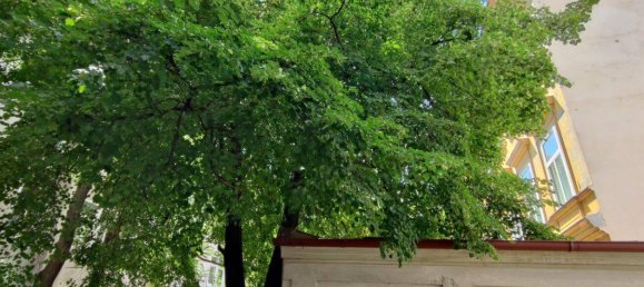 3 rooms Apartment in Leopoldstadt, Austria No. 224110 2