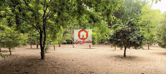 1 غرف نوم منزل في Vila Nova de Famalicao, Portugal رقم 61649 19