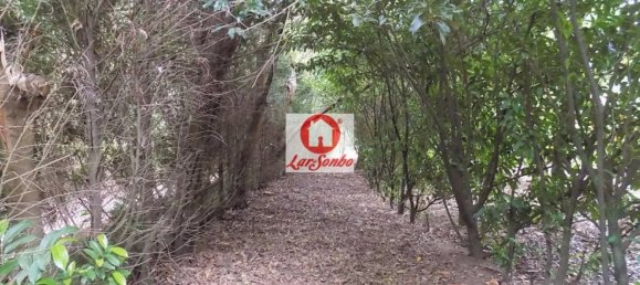 1 غرف نوم منزل في Vila Nova de Famalicao, Portugal رقم 61649 10