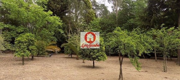 1 غرف نوم منزل في Vila Nova de Famalicao, Portugal رقم 61649 15