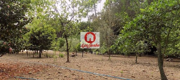 1 غرف نوم منزل في Vila Nova de Famalicao, Portugal رقم 61649 13