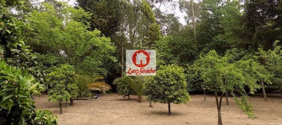 1 غرف نوم منزل في Vila Nova de Famalicao, Portugal رقم 61649 14