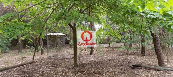 1 غرف نوم منزل في Vila Nova de Famalicao, Portugal رقم 61649 11