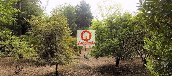 1 غرف نوم منزل في Vila Nova de Famalicao, Portugal رقم 61649 12