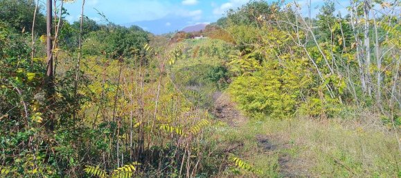 1-salle Terrain à Santa Venerina, Italy No. 5992 38