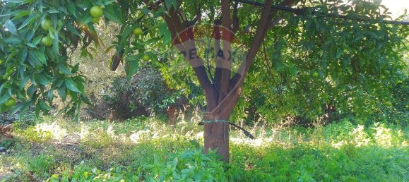 1-salle Terrain à Santa Venerina, Italy No. 5992 33