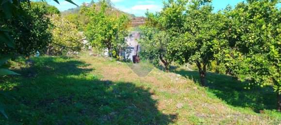 1-salle Terrain à Santa Venerina, Italy No. 5992 35