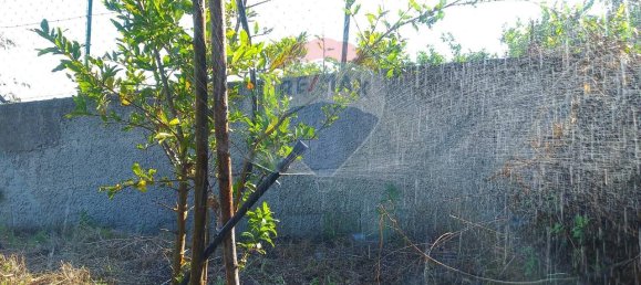 1-salle Terrain à Santa Venerina, Italy No. 5992 32