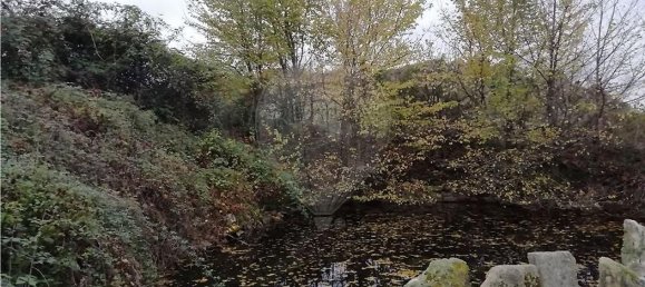 4 bedrooms House in Vimioso, Portugal No. 175463 10