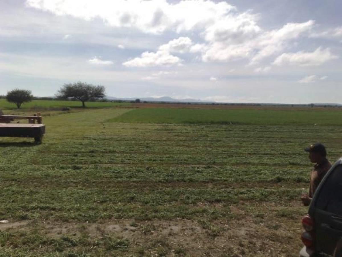3 Schlafzimmer Haus in Guanajuato, Mexico, Nr. 148967
