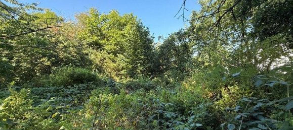  قطعة أرض في Harburg, Germany رقم 326949 4