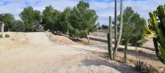 3 غرف نوم منزل في Alicante, Spain رقم 176942 46