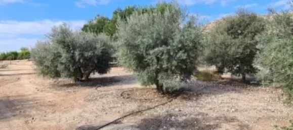 3 غرف نوم منزل في Alicante, Spain رقم 176942 50