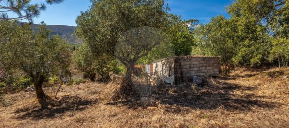 3 bedrooms House in Porto de Mos, Portugal No. 28517 9