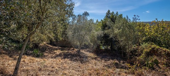 3 bedrooms House in Porto de Mos, Portugal No. 28517 7